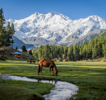 Fairy Meadows Sub Image 2