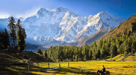 Fairy Meadows Gallery Image 2