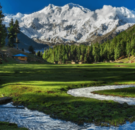 Fairy Meadows Gallery Image 3